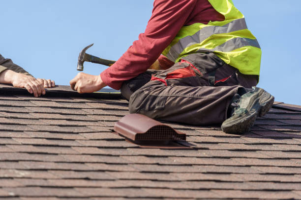 Best Storm Damage Roof Repair  in Coleraine, MN