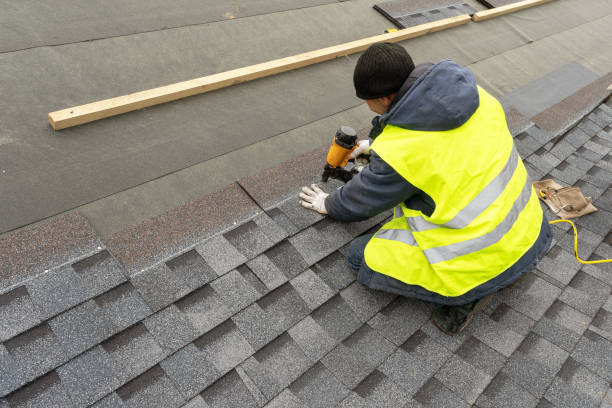 Best Shingle Roofing Installation  in Coleraine, MN