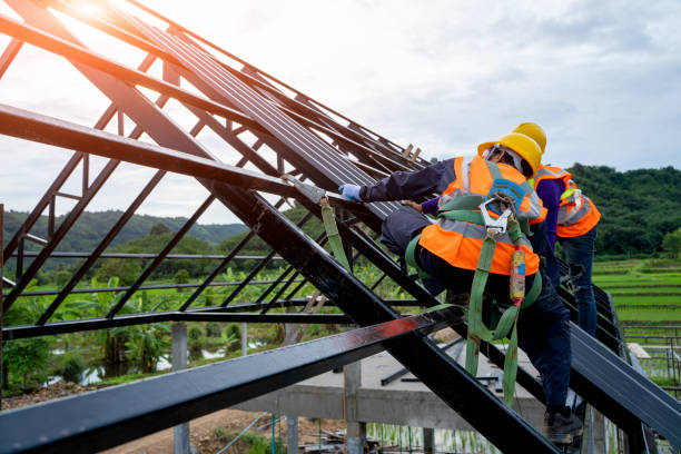 Best Metal Roofing Contractor  in Coleraine, MN