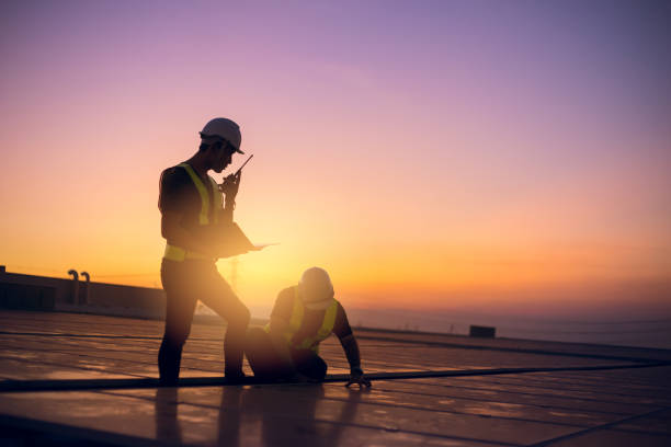 Best Flat Roof Repair Services  in Coleraine, MN