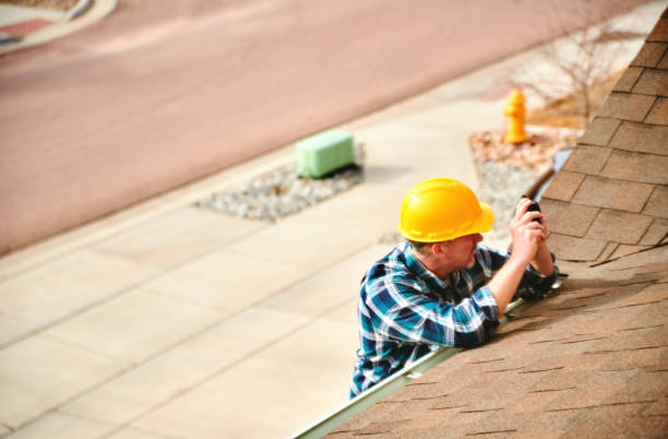 Best Roof Gutter Cleaning  in Coleraine, MN